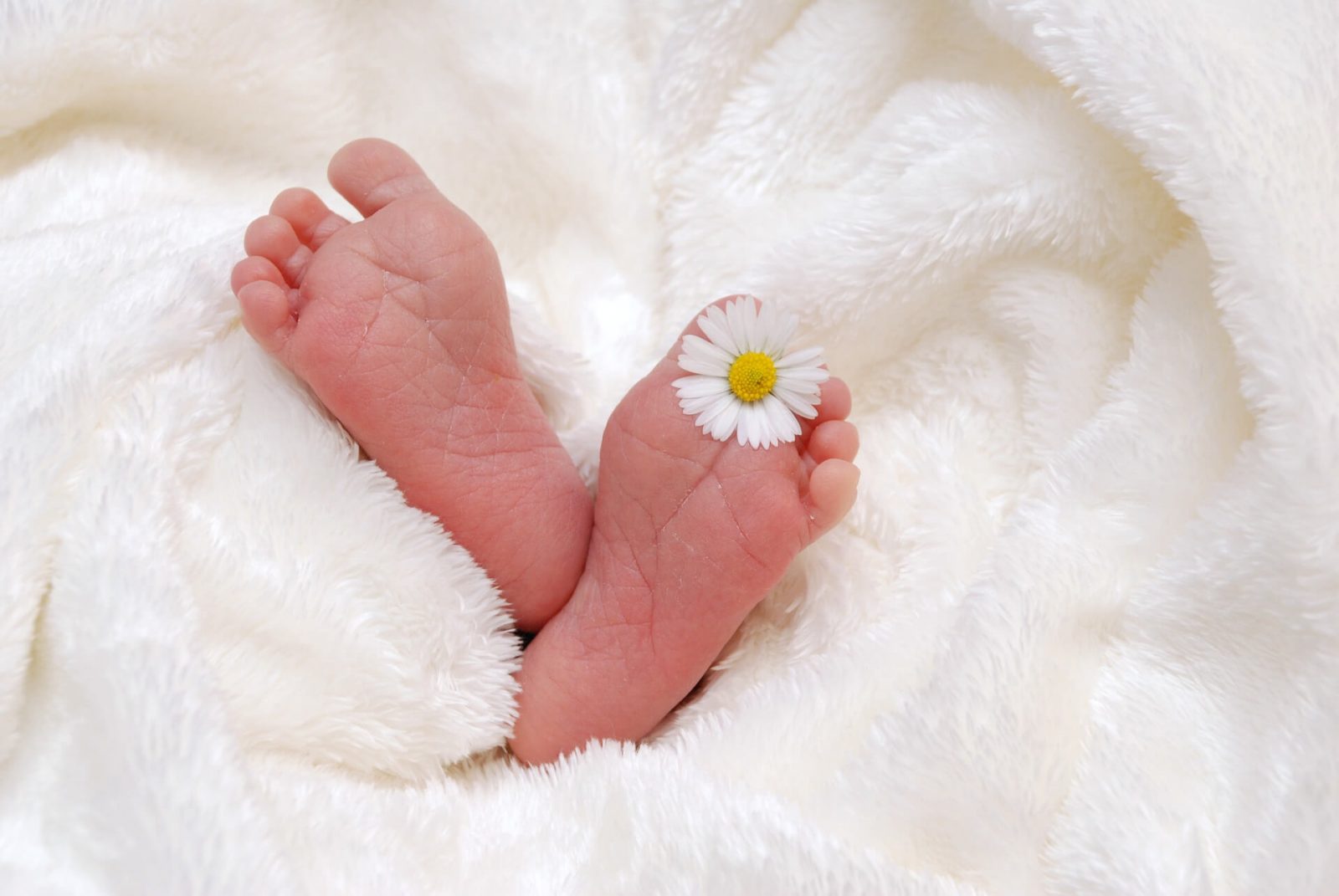 Read more about the article How to avoid sibling rivalry with arrival of another baby